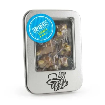 Tampanensis Magic Truffles